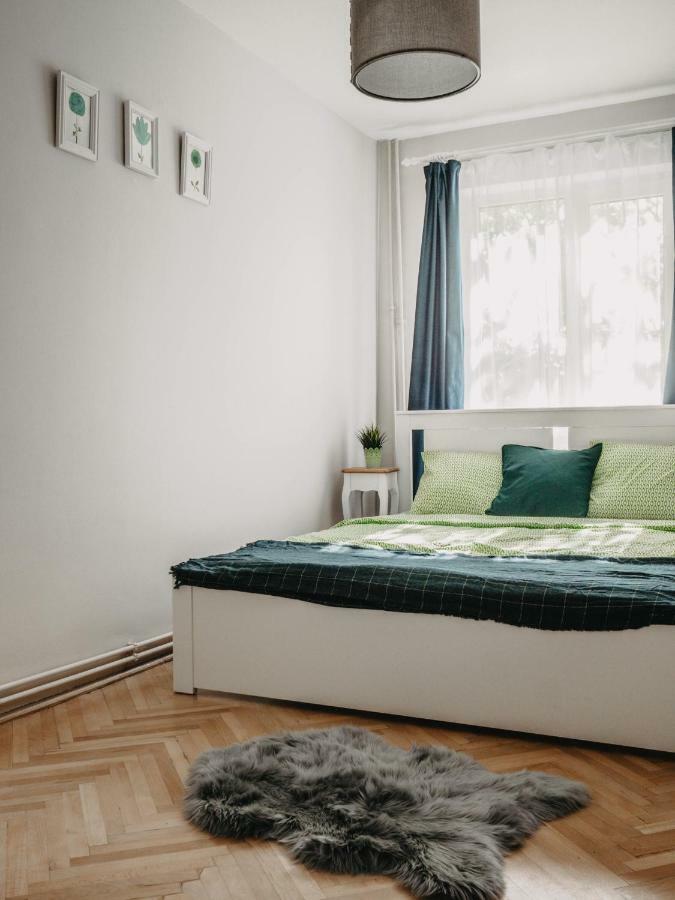 Business And Travel Central Apartment Timisoara Exterior photo