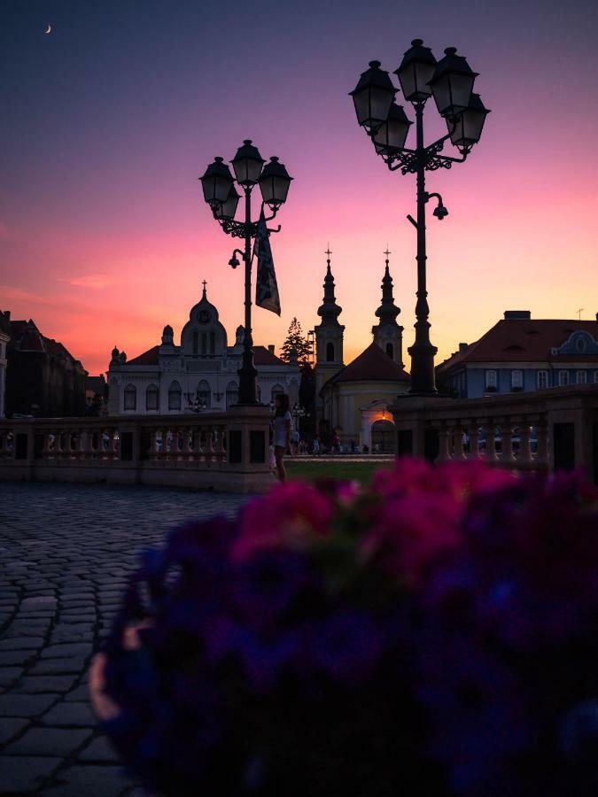 Business And Travel Central Apartment Timisoara Exterior photo