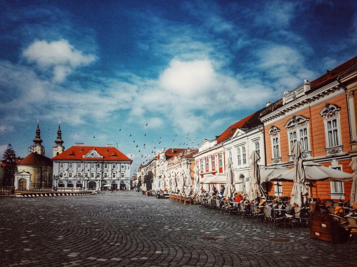 Business And Travel Central Apartment Timisoara Exterior photo